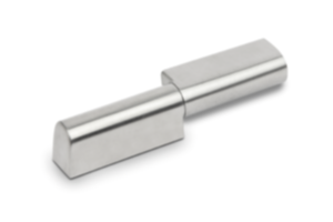 Cerniere in acciaio inox avvitabili Cerniere in acciaio inox avvitabili