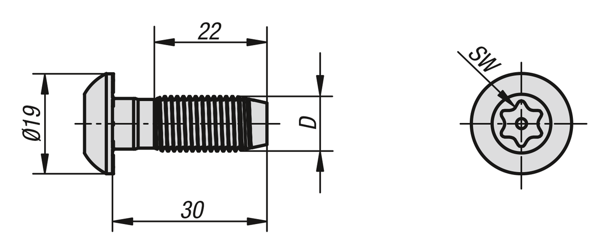 Zentralschraube Typ B